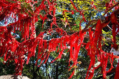 《宝可梦传说：阿尔宙斯》媒体评分解禁  M站均分85