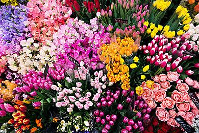 本土市场太重要！Switch 2日本首周销量超94万台